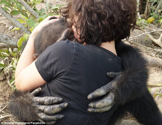 Як мавпа, яка три роки жила сама на острові, кинулася в обійми людині  - фото 3
