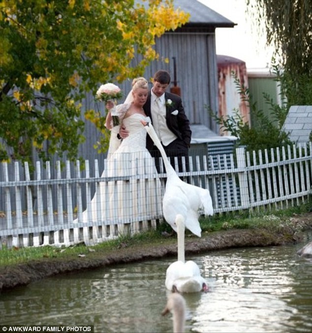 Найжахливіші весільні фотографії у світі - фото 3