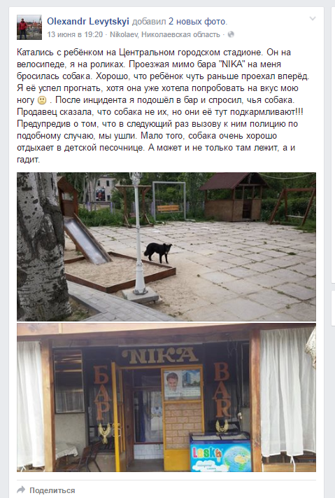 У Миколаєві радника мера з дитиною ледь не погризли собаки - фото 2