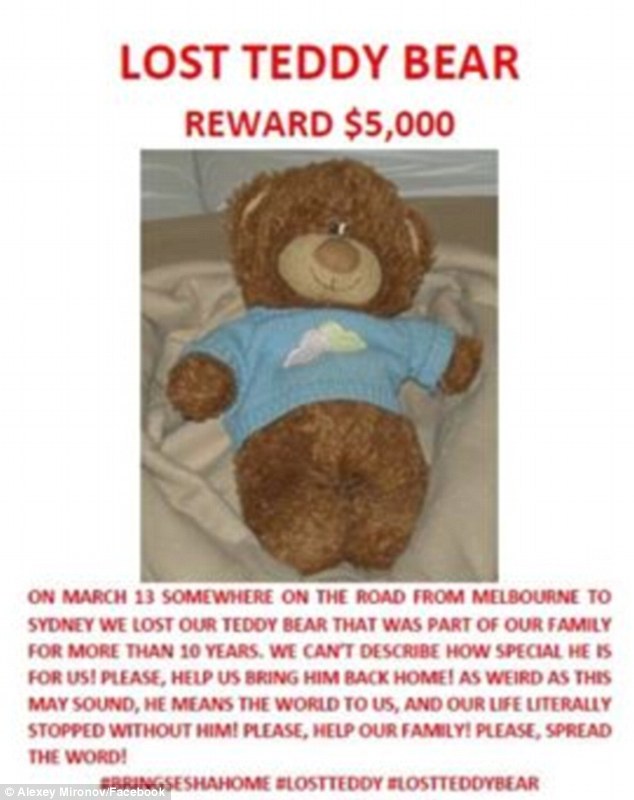 Пара з Росії пропонує $5 тис за плюшевого ведмедика, який загубився  - фото 1