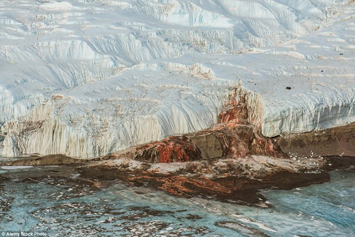 Фотошоп відпочиває: 15 дивовижних оптичних ілюзій від матінки-природи - фото 11 Фотошоп відпочиває: 15 дивовижних оптичних ілюзій від матінки-природи - фото 11