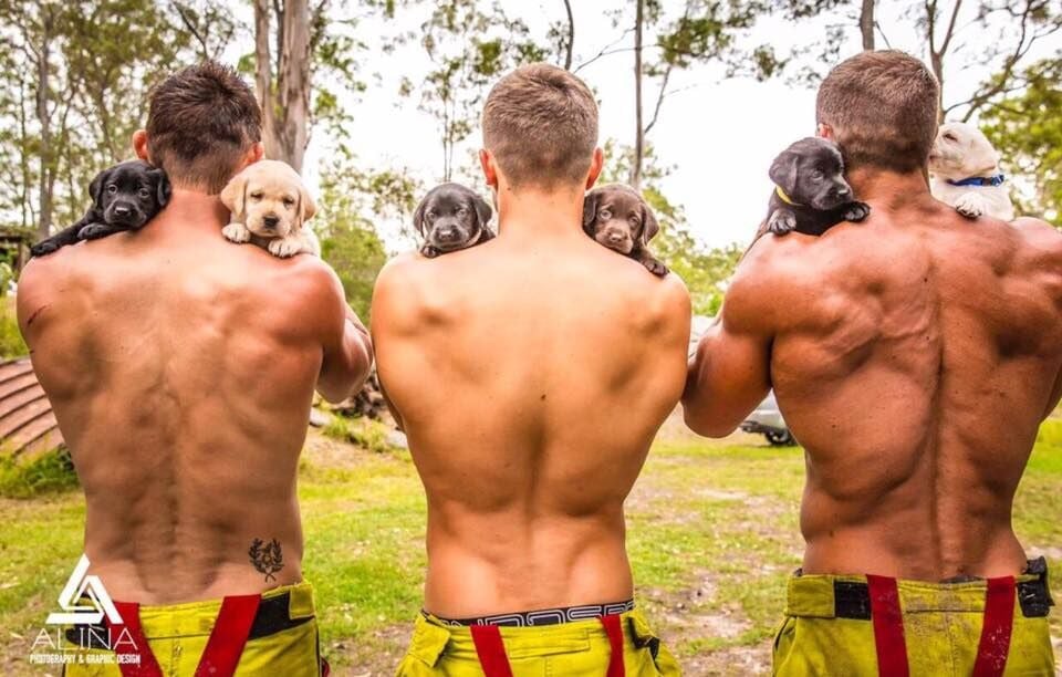 Сексуальні пожежники із милими цуценятами підірвали інтернет  - фото 3