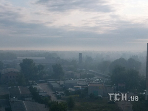 У Дарницькому районі столиці загорівся ліс (ФОТО) - фото 1
