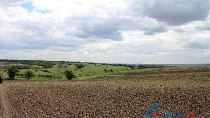 У Слов'яносербському районі мешканці збирають врожай снарядів на полях (ФОТО) - фото 3