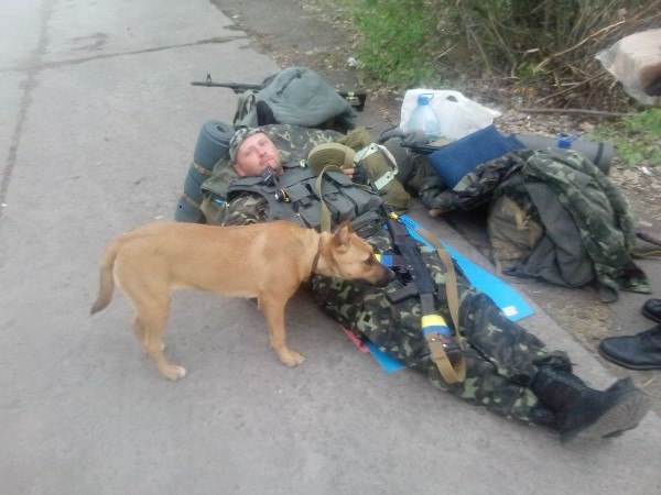 Чим займаються на Донбасі найкращі друзі бійців АТО-4 - фото 13