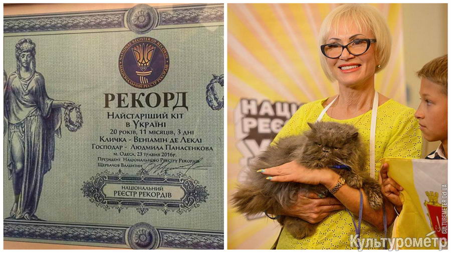 Одеський кіт потрапив до Книги рекордів - фото 1