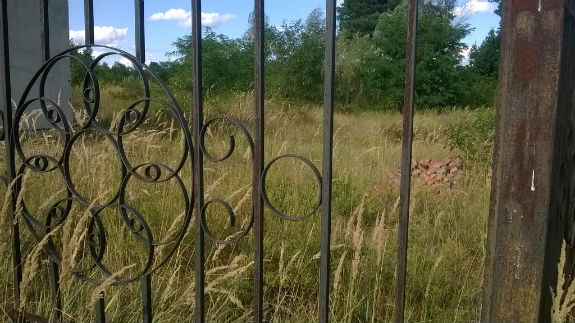 Як чиновники Києва створили привид кладовища для тварин - фото 9