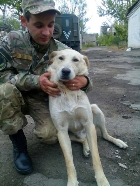 Чим займаються на Донбасі найкращі друзі бійців АТО - 2 - фото 7