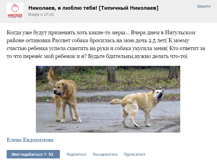 У Миколаєві собака покусала молоду маму, що захищала маленьку доньку - фото 1
