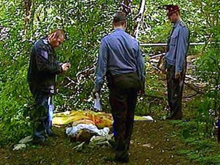На Одещині в лісосмузі виявили тіло восьмирічної дівчинки - фото 1