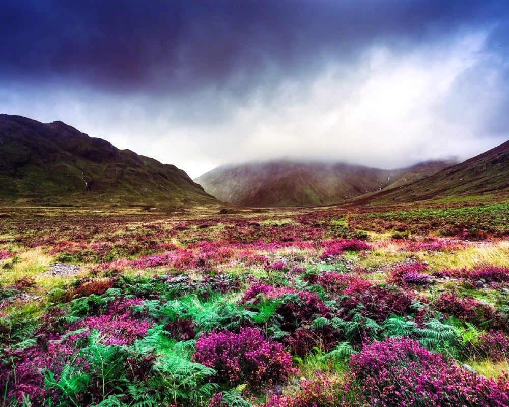 Як виглядає неймовірно казковий острів у Шотландії - фото 9