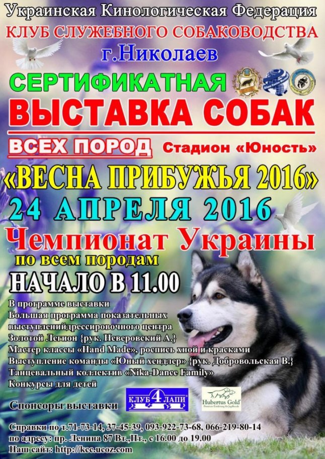 Миколаївців запрошують на виставку собак "Весна Прибужжя-2016"