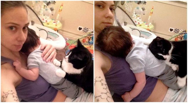 Як кішка полюбила малюка своєї власниці, ще до його народження - фото 4
