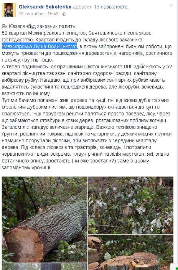 Активісти заявляють про варварську вирубку дерев у Святошинському лісі  - фото 1