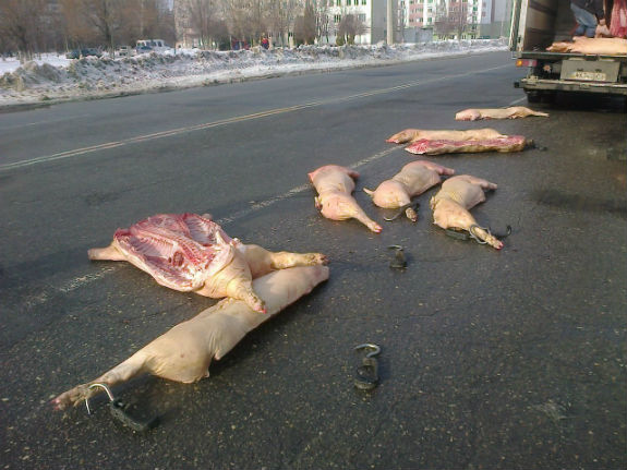 У Харкові просто посеред дороги з вантажівки випали свинячі напівтушки - фото 4