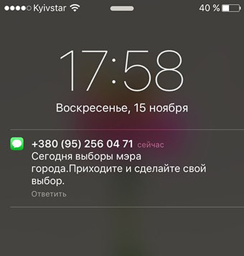 Оголена дівчина та кіт - "спостерігач": як проходив другий тур виборів у ФОТО - фото 8