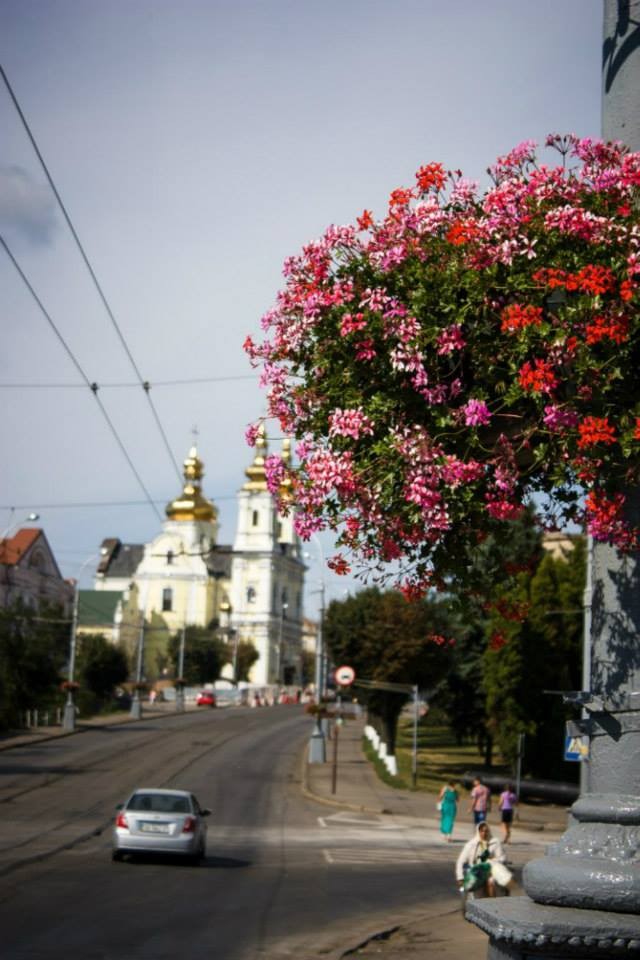 У Вінниці визначили кращі фотографії про любов до міста - фото 4