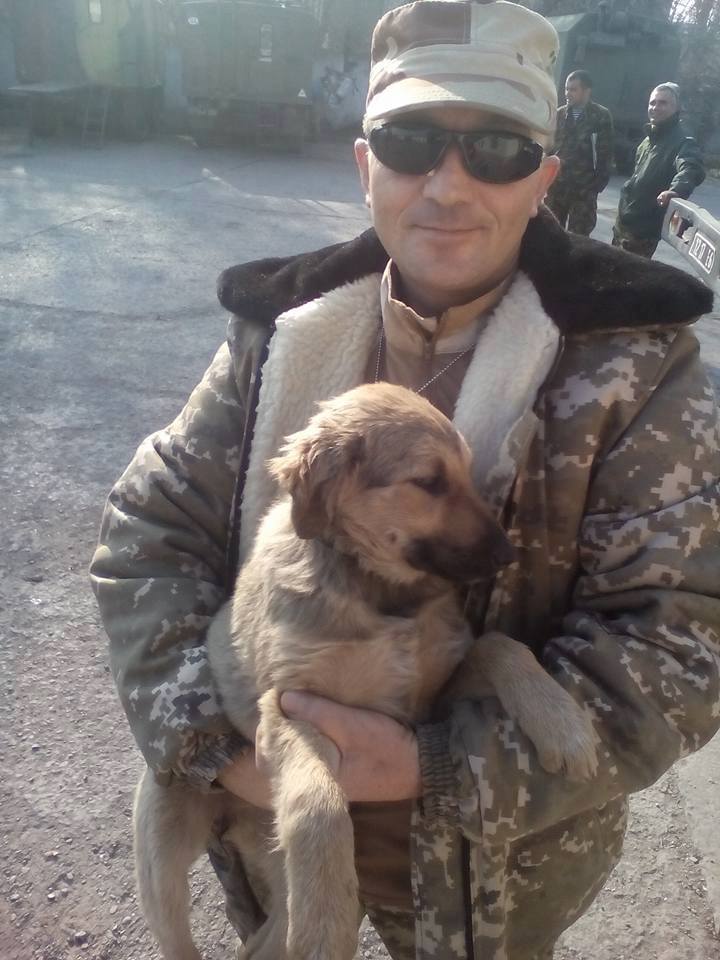 Чим займаються на Донбасі найкращі друзі бійців АТО - 2 - фото 9