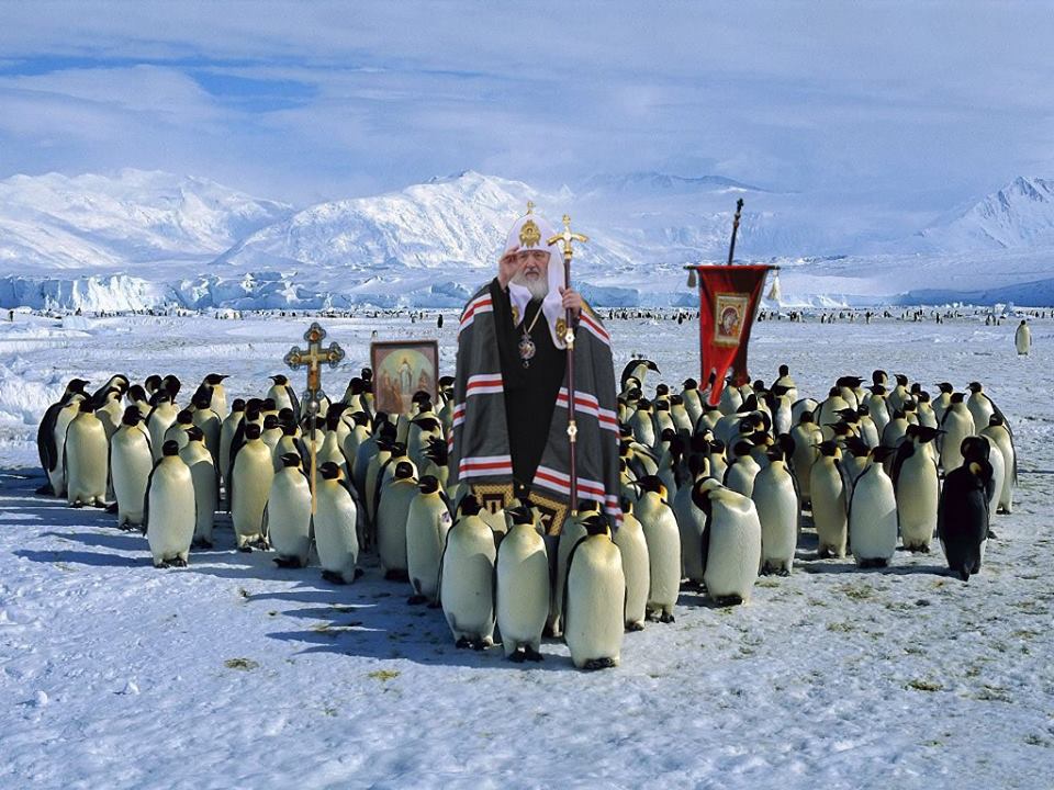 Як Гундяєв пінгвінів в Антарктиді хрестив (ФОТОЖАБИ) - фото 16