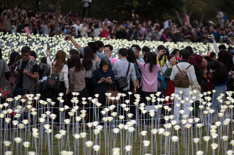 У Гонконзі запалили 25 тис білих троянд - фото 1