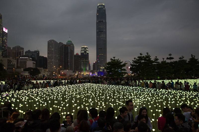 У Гонконзі запалили 25 тис білих троянд - фото 3