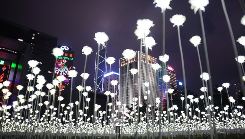 У Гонконзі запалили 25 тис білих троянд - фото 7