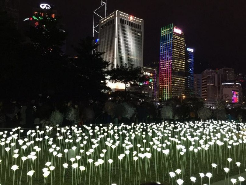 У Гонконзі запалили 25 тис білих троянд - фото 8