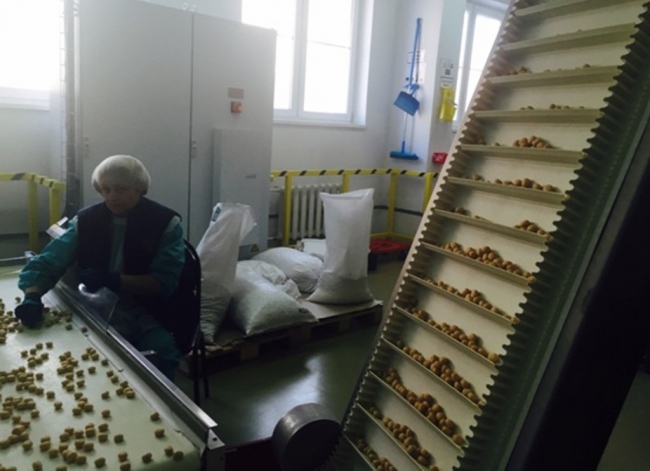 Журналісти показали, як працює фабрика Roshen у Липицьку - фото 1
