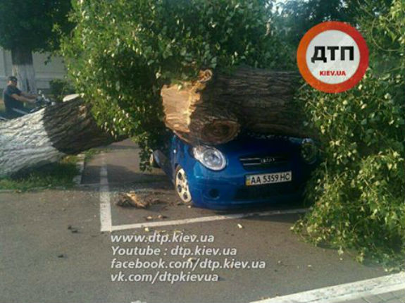 У Києві дерево розтрощило автомобіль - фото 1 У Києві дерево розтрощило автомобіль - фото 1