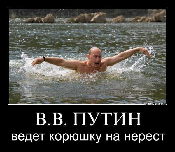 10 причин, чому Порошенко схожий на Обаму і не схожий на Путіна - фото 33