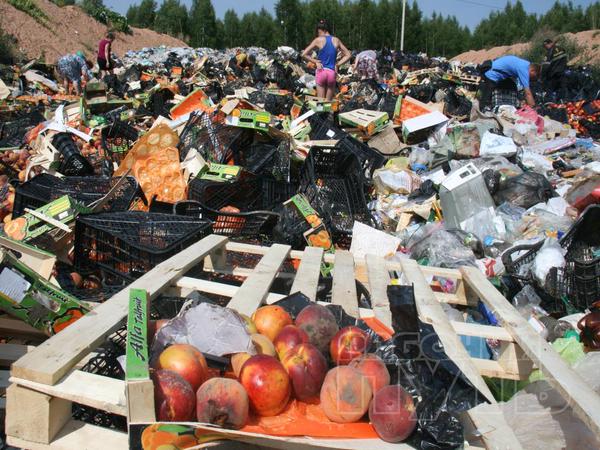 Росіяни шукають серед сміття недочавлені санкційні продукти  - фото 2