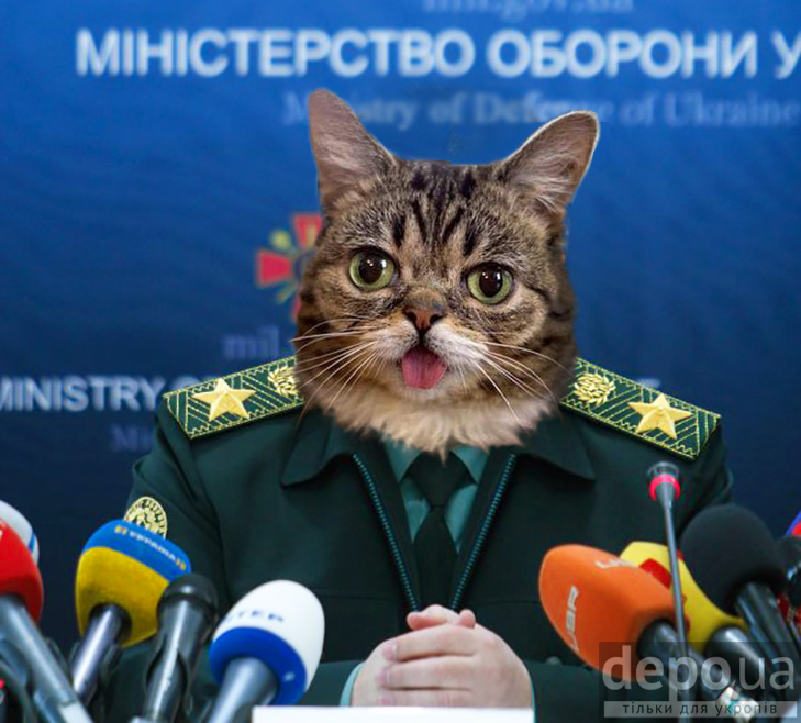 Чому українською державою мають керувати коти (ФОТОЖАБИ) - фото 5