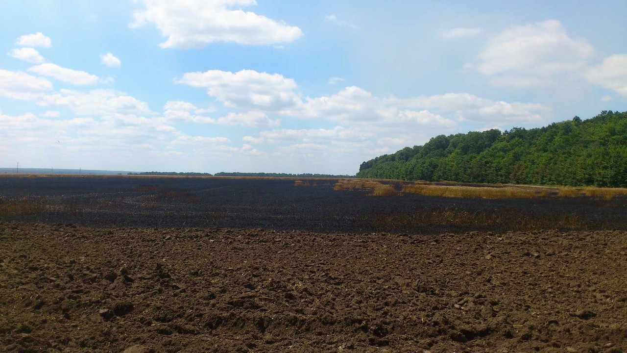 На Вінниччині на полях Порошенка згоріло 5 гектарів пшениці - фото 2