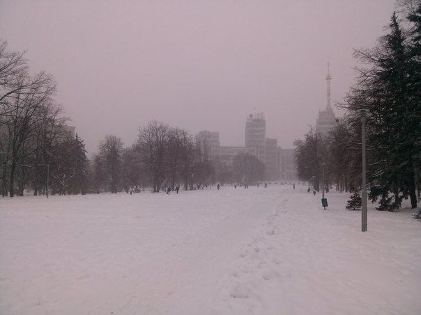 У Харкові розпочався потужний снігопад - фото 7