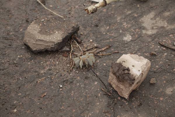 Патрони, снаряди та грязюка - як виглядають дороги "Лугандонії" - фото 1