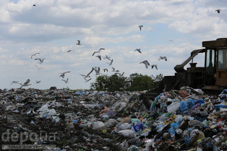 Табір йде… у Підгірці: як роми захопили головне сміттєзвалище Києва - фото 11