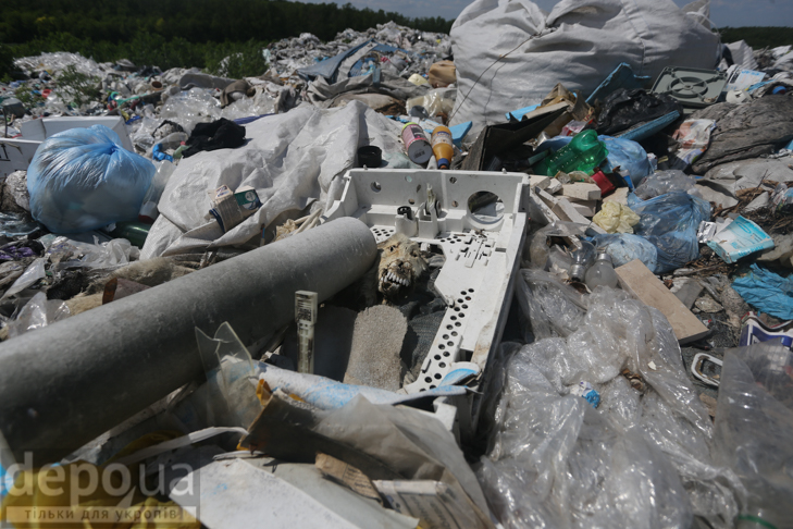 Табір йде… у Підгірці: як роми захопили головне сміттєзвалище Києва - фото 13