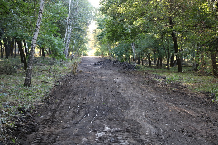 У Краматорську почали реконструкцію ще одного парку (ФОТО) - фото 4