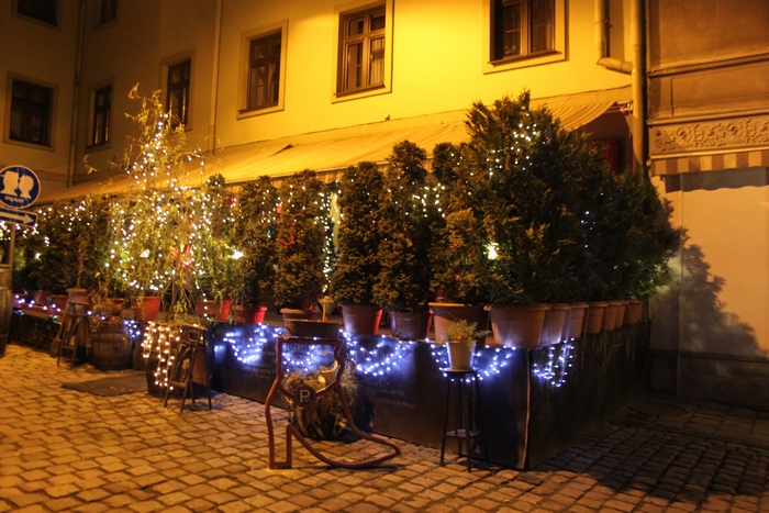 Топ-20 львівських новорічних ялинок - фото 13