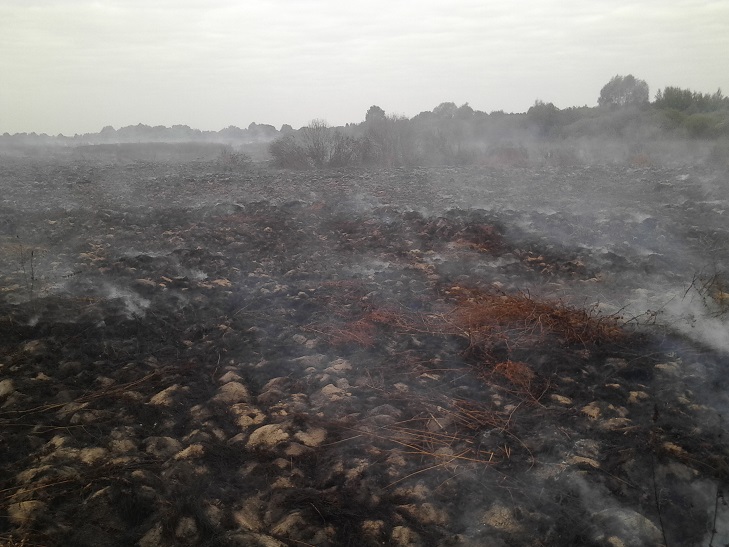 Ліквідація пожежі на Деражнянщині триває  - фото 5