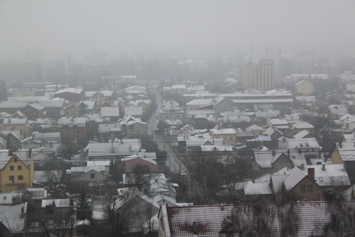 У Львові випав сніг - фото 2