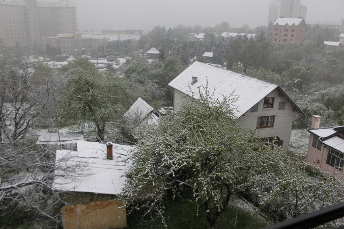 Як Львівщину засипає снігом - фото 1