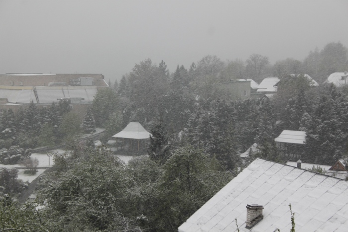 Як Львівщину засипає снігом - фото 5