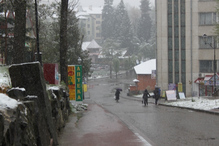 З'явилися нові фото і відео квітневого снігопаду на Львівщині - фото 2