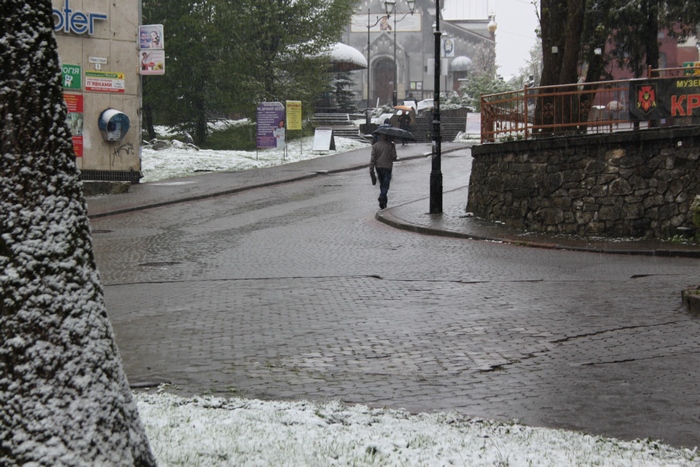 З'явилися нові фото і відео квітневого снігопаду на Львівщині - фото 3