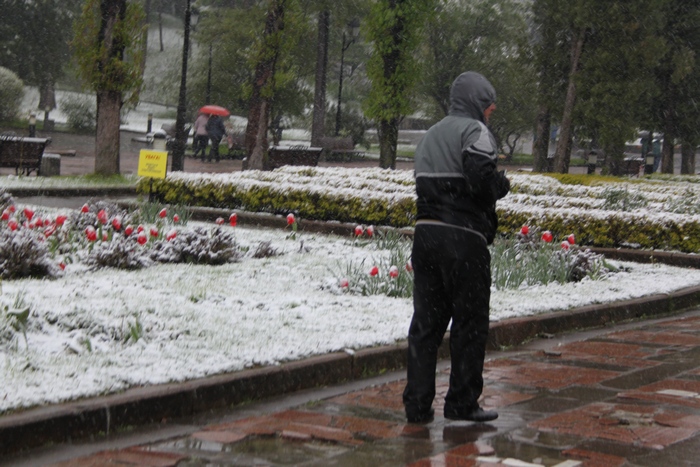 З'явилися нові фото і відео квітневого снігопаду на Львівщині - фото 5