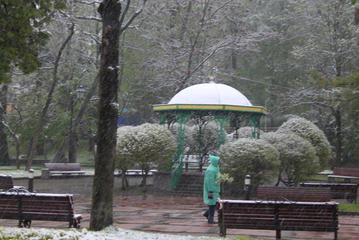 З'явилися нові фото і відео квітневого снігопаду на Львівщині - фото 8
