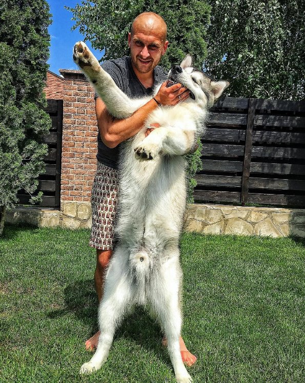 Ракицький показав нове фото з собакою - фото 1