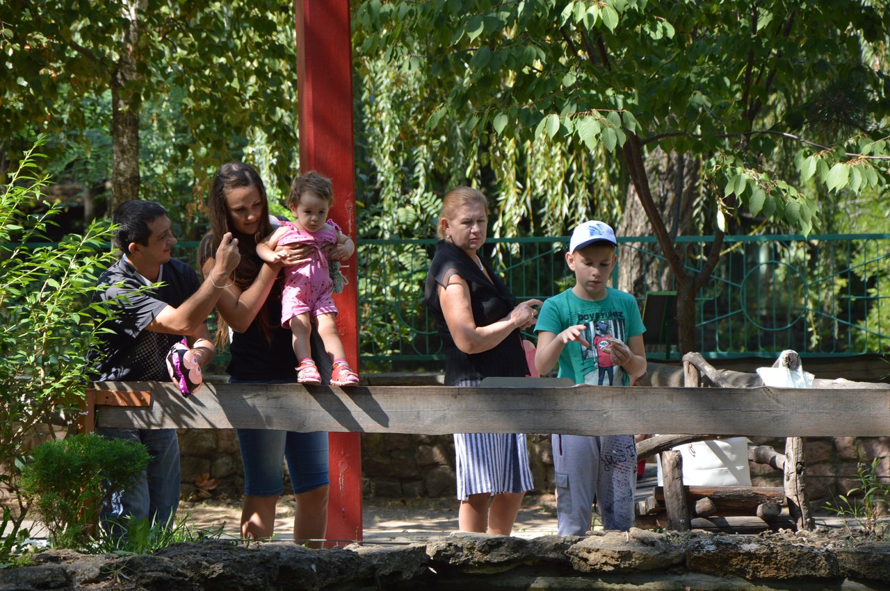 Як звірі у Миколаївському зоопарку поздоровляли городян з Днем міста - фото 8