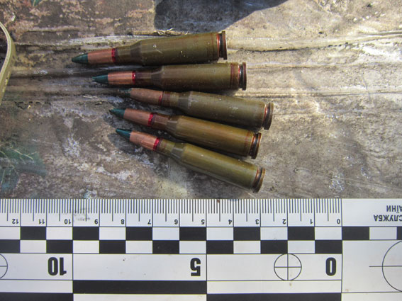 На Сумщині "дембель" вибухами гранат сповістив односельчан про своє повернення з АТО  - фото 3
